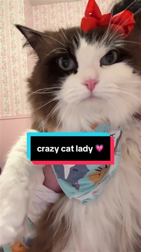 so anyways….my cat and I have matching pajamas #meredithmaeragdollcat #crazycatlady #catapartment #catpjs #cattok