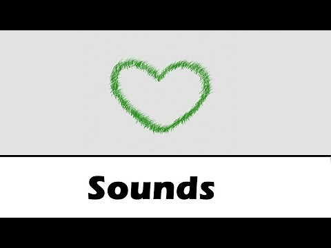 Echo Sound Effects All Sounds