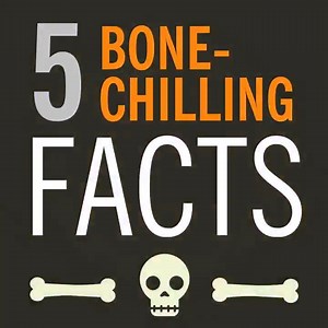 Did you know you lose bones over time? Ever thought about which bones are longest and which ones are the shortest or wonder how do bones heal? 🦴 Jaw dropping facts about your bones: https://cle.clinic/2Ho8ikC | Cleveland Clinic