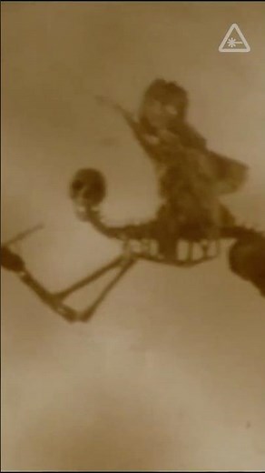 The best Alien 3 script #Alien #Alien3