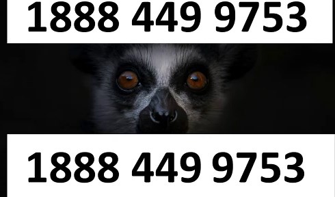 ⁂【Verified】⋉अ ⁂[ ⁂VIPRE aNtIvIrUs® TeChNiCaL© SuPpOrT® helpline® Numbers Contact⁂ (247) Live Person 