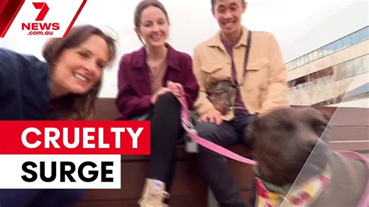 Animal cruelty cases surge across Victoria