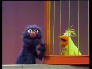 Sesame Street: Grover- The Zoo