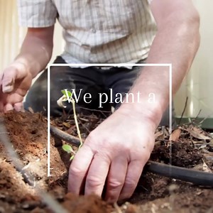 1.6M views · 595 reactions | Sick of bad service? Buy a 1 square foot plot of land in Scotland and become a Lord today. "Recently chose to go by our Lord and Lady titles on our plane tickets, thinking nothing would come of it. Lo and behold - never have we received better treatment!" We also plant a tree for every order we get. Use coupon code DAD for 10% off. | Established Titles | Facebook