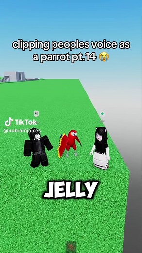Roblox Parrot Prank Makes Players Angry