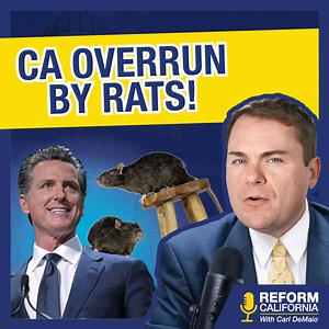 CA SEES NEW RAT EXPLOSION: The state of CA is being overrun by RATS! The latest data shows an explosion in the rodent population in cities and even suburban areas. Learn what's going on and how a new law will make matters even worse — WATCH full episode: https://reformcalifornia.org/videos/new-crisis-ca-being-overrun-by-rats | Carl DeMaio