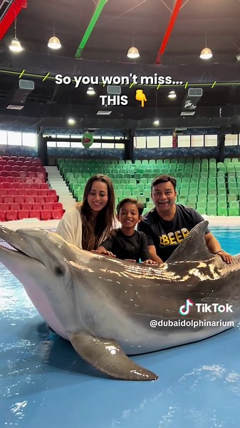 Meet Dolphins Up Close at Dubai Dolphinarium