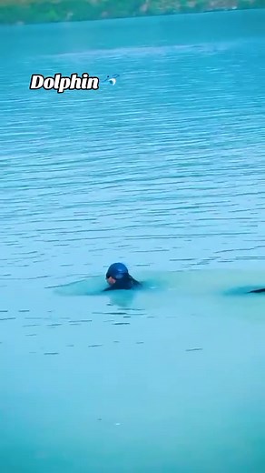 Like A Dolphin🐬🐬 Duet must Repost must ❤👈 #foryou #tarbeladam #swimming #beautyofswabi #growmyaccount @𝓗𝓾𝔃𝔃𝓲 ♥ @𝓓𝓸𝓵𝓹𝓱𝓲𝓷☆🐬