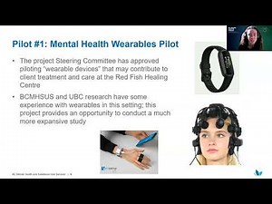 Establishing a VirtualDigital Innovation Hub at BCMHSUS