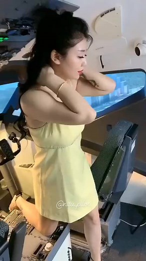 Exploring Aircraft Cockpit Interactions