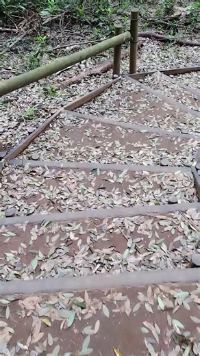Going down some steps at the park #japan #walking #park #nature #healthy #exercise #relaxing