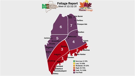The final fall foliage report was released on Wednesday as much of the state has reached peak or past-peak conditions. | NEWS CENTER Maine