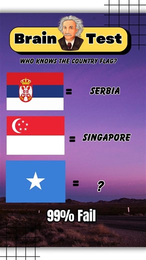 Can You Guess This Flag ⛳⚡🙀#guess #flags #country #trivia