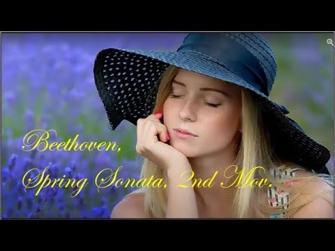 Beethoven, Spring Sonata, II mov , Josef Suk, Violin ڪے 🌸🍃