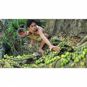 5.3K views · 188 reactions | Jujube and Salt Peppers | Quant-Amber TH | Facebook