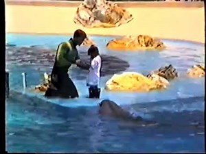 1992 SeaWorld Orlando: Dolphin Show - Vintage Magic & Close Encounters!