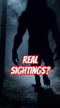 Dogman Encounters & The Amarillo Zoo Footage #paranormal