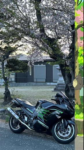 ZX14RからZZR1100になってる😆ある意味すごい❗️しかもライムグリーン🟢 #CapCut #バイク #バイク好き #バイク好きと繋がりたい #kawasaki #カワサキ#zx14r #zzr1100 #トトロ