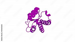 360º 3D rendering of a biological molecule. Structure of H/ACA RNP Protein Nhp2p Reveals Cis/Trans Isomerization of a Conserved Proline at the RNA and Nop10 Binding Interface.