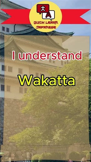 Essential Japanese Words for Beginners | Basic Japanese Vocabulary You Must Know