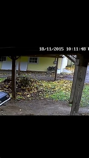 From soldier to killer: The Christian ‘Kit’ Martin case. | Storyteller Corner