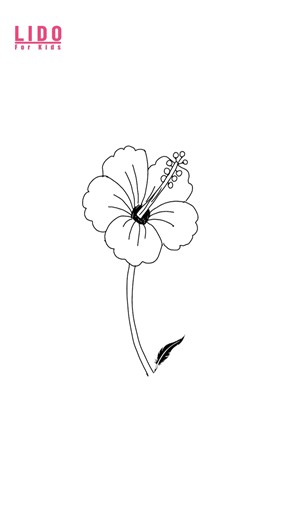 How to Draw a Hibiscus Easy Flower Drawing for Kids #lidoartworks