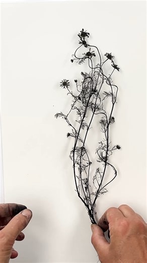 491K views · 10K reactions | Monoprinting Camomile… I pressed this...