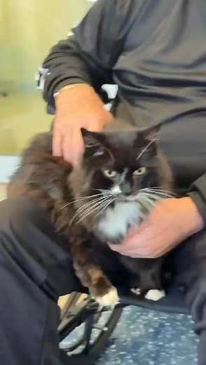 Ivan Alvarez on Reels