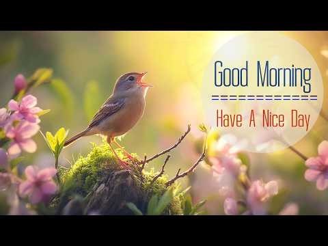POWERFUL MORNING MUSIC - Wake Up Smiling with Positive Energy - Morning Meditation Music For Stress