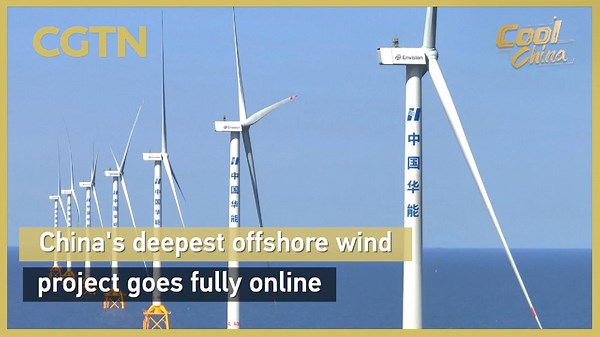 China's deepest offshore wind project goes fully online