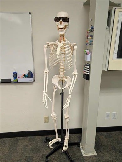 Video Question: Y and Grashey views or Podiatry Video? Post a comment!