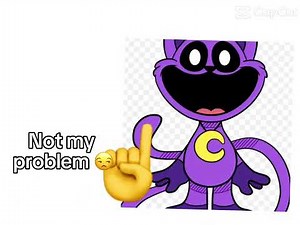 That’s just not my problem meme