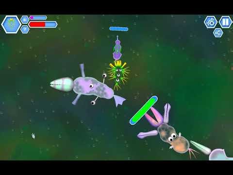 evo of spiecies with the fastest creature