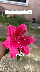 108K views · 2.4K reactions | Stargazer tutorial✅ #fuzzywire #stargazerflower #diycraftsph #flowercraft #fyp #fypreelsシ゚viralシ #fypviralシ #fuzzywireflower #fuzzywirecrafts #stargazer #stargazerlilies | Craft Corner | Facebook