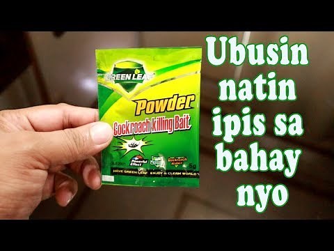 Matinding pamatay ipis Green Leaf Cockroach Killer Bait Review