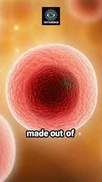 Is LIFE just a complex program? The unexpected link between ancient chemistry and computer evolut...