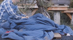 Ryan Neil explains the basics of Bonsai winter care, and how we should protect our trees in various temperatures throughout the winter season. Bonsai Empire celebrated its 20th anniversary in December 2020, and to celebrate we asked our followers to submit questions - these were answered by a team of international Bonsai Experts. We like to thank al experts for answering the questions and of course we also thank our followers! All topics are also discussed in further detail on our website: https