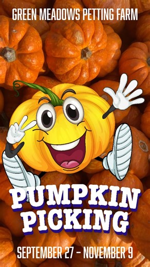Opening Sept. 27 at Green Meadows Farm Kissimmee, every admission includes a FREE pumpkin! Meet farm animals, play in the corn box, climb tractors, zoom down haywagon slides, visit the bunny barn, take a tractor-pulled ride, and enjoy plenty of open space for picnics. 🐐🐇🚜 Make fall memories that last all season long! 💛 📍 Green Meadows Farm Kissimmee 📅 Sept. 27– Nov. 9#GreenMeadowsPettingFarm #PumpkinSeason #CluckYeah #GreenMeadowsFarm #FallFun #KissimmeeEvents #FamilyTraditions | Green Mea