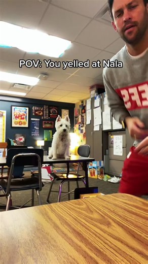 Teaching Respect and Dealing with Frustration - A Teacher's POV