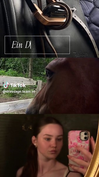 ♣️ Insta: Dressageteam.sc #vlog #vlogtime #aesthetic
