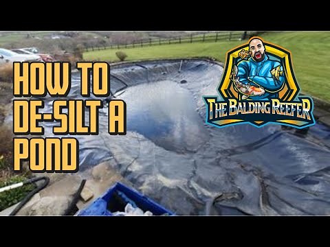 How to Desilt a pond - The Easy way!