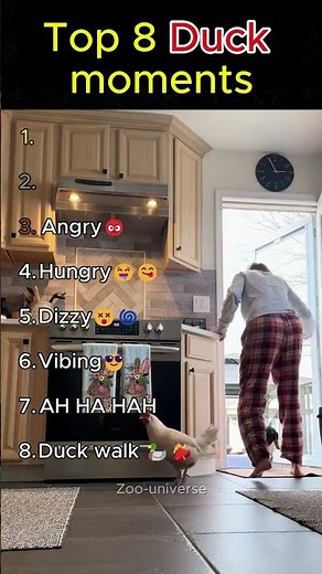 Top 8 duck moments🤣 #tiktokeffects