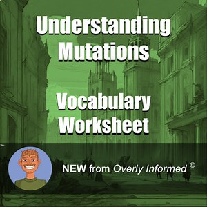 Understanding Mutations Vocabulary Worksheet