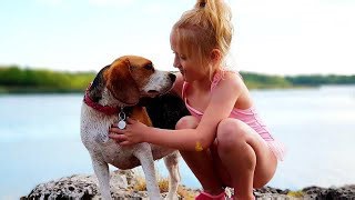 Perfect Protectors—Beagles are the Ideal Family Dogs for Our Baby