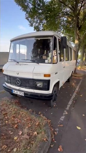 🇩🇪 🚐 Mercedes Benz Transporter D 309 ca. 1977–1986