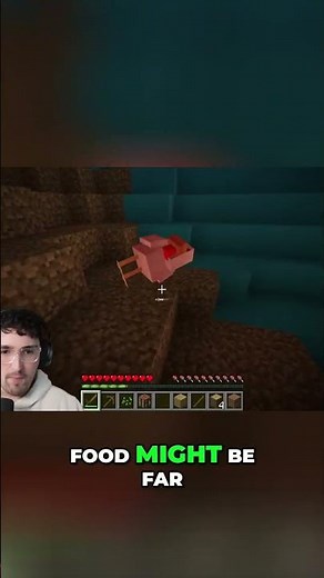 A Cursed Minecraft World