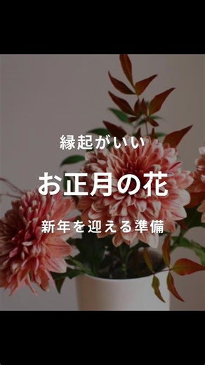 お正月に飾る花といえば？お正月に飾りたい縁起の良い花や赤い実をご紹介します！お花を飾って心豊かに新年を迎えましょう。 . ぜひ「LOVEGREEN（ラブグリーン）」で検索して記事をチェックしてください。 ↓ お正月の花といえば？縁起のいい花、正月飾りに使われる植物一覧 https://lovegreen.net/lifestyle-interior/p259954/ . お正月に飾りたい縁起のいい赤い実11種！｜正月の花 https://lovegreen.net/gardentree/p281972/ . お正月は縁起物の花、菊（マム）を！種類や長持ちさせるポイント https://lovegreen.net/flower/p128883/ . #植物 #お正月 #お正月の花 #お正月の縁起木 #lovegreen | LOVEGREEN -花・植物と暮らしを豊かに。