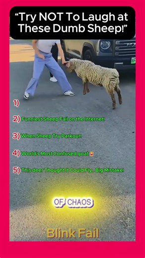 “Try NOT To Laugh 😂 Funniest Sheep Fails Ever!” #hilariousfails #funny