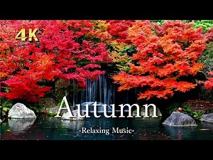 美しい紅葉の絶景【４K】リラックス音楽と森の自然音｜Autumn Forest