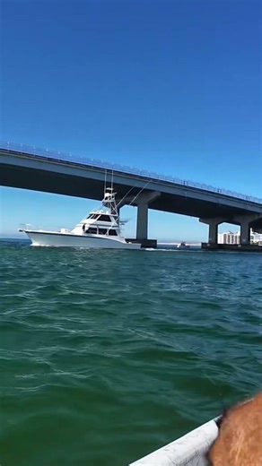 Perdido Pass in Orange Beach #fishing #outdoors #boat
